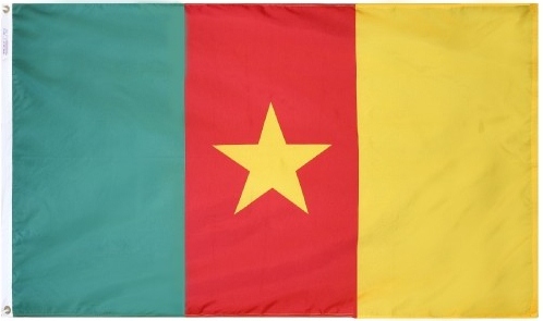 Cameroon Flag