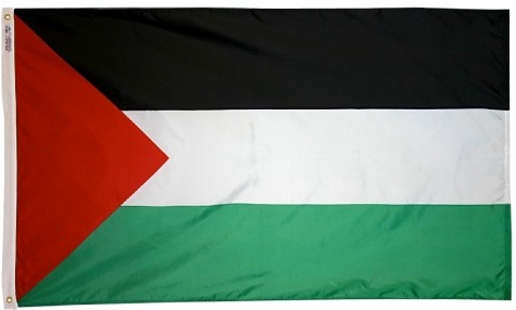 Palestine Flag