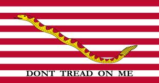 First Navy Jack Flag