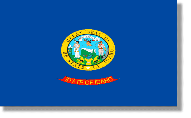 Usa State Flag Descriptions All 50 States