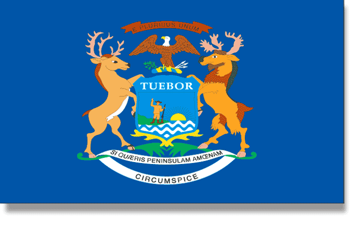 Michigan Flag