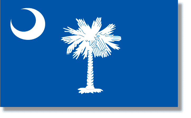 Threadrock Baby South Carolina Palmetto and Crescent Infant Bodysuit SC Flag 